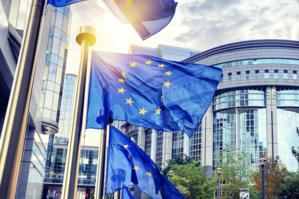 Bologna public research workshop:An insight into DETECt’s “backstage”